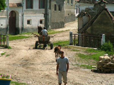 PICT5248.JPG