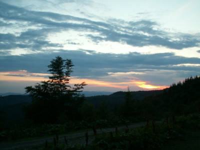 PICT5353.JPG