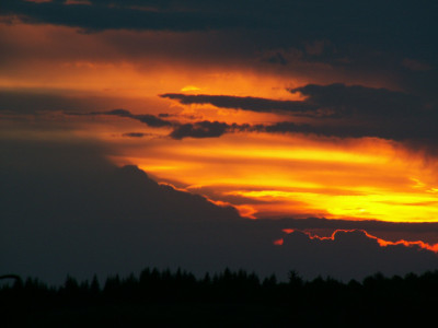 PICT5360.JPG