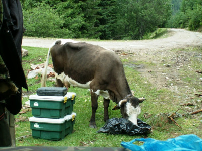PICT5569.JPG
