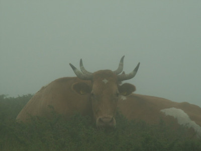PICT6225.JPG