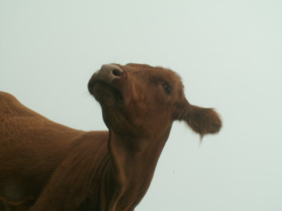 PICT6302.JPG