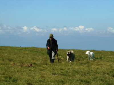 PICT6595.JPG