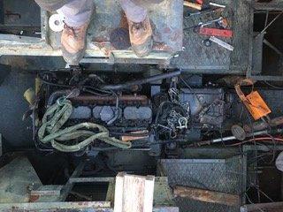IMG_0505.jpeg