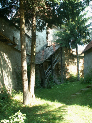 PICT5280.JPG
