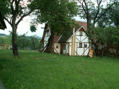 PICT5626.JPG