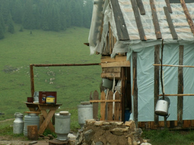 PICT6128.JPG