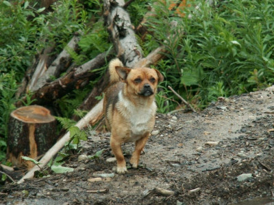 PICT6167.JPG