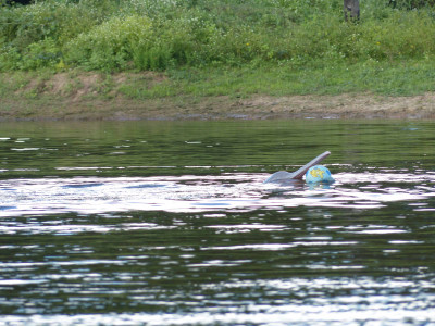 P1100510_PafF6b9q78.jpeg