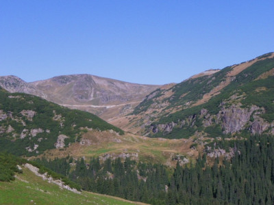 IMGP3526.JPG