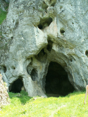 PICT3593.JPG