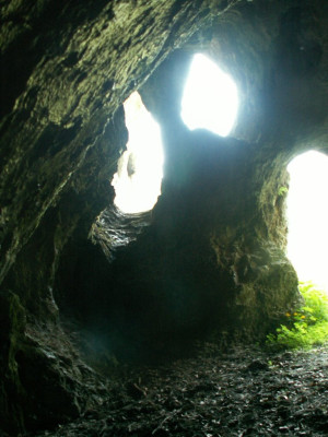 PICT3602.JPG