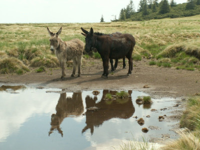 PICT3981.JPG