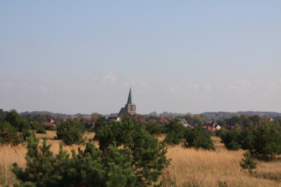 IMG_2521.JPG