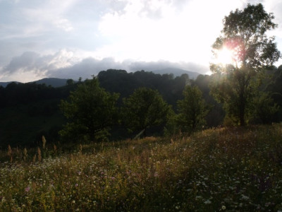 DSCF0312.JPG
