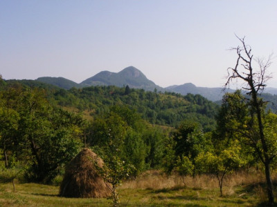 IMGP3284.JPG