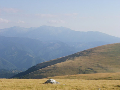IMGP3431.JPG