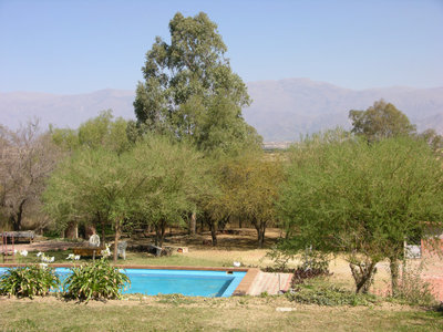 DSCN8155.JPG