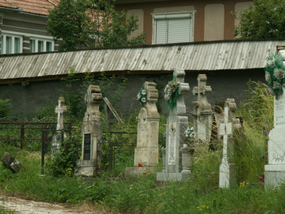njz (10).JPG