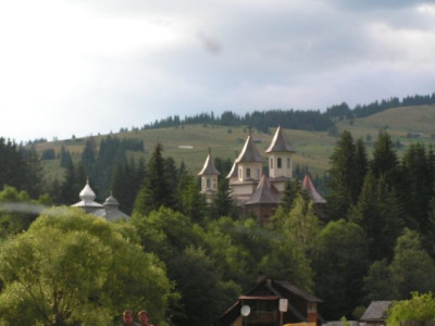 njz (17).jpg