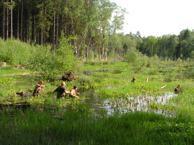 PICT0087.JPG