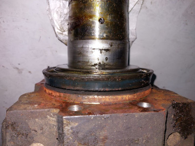 klein9.jpg
