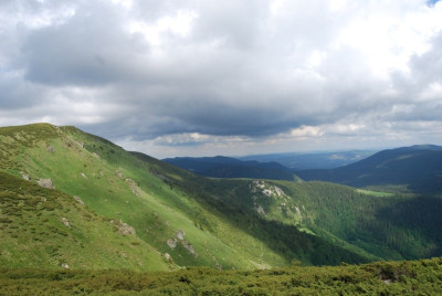 DSC_0005.JPG