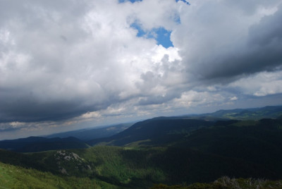 DSC_0010.JPG