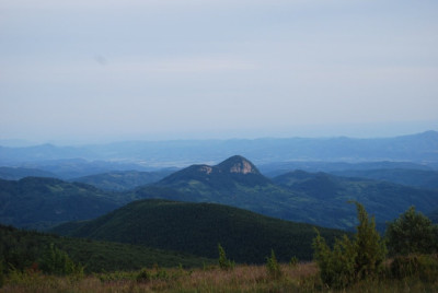 DSC_0115.JPG