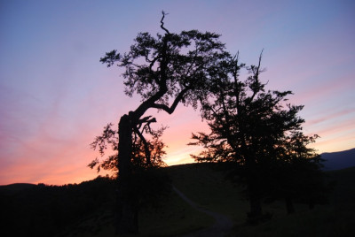 DSC_0154.JPG