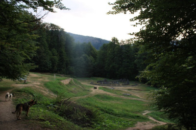 img_8537.jpg