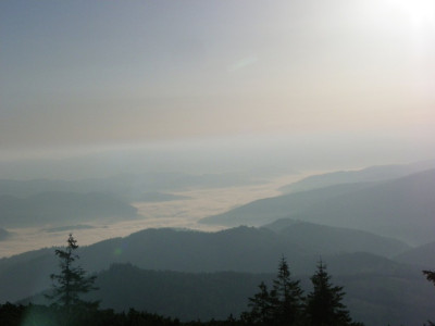 IMGP3178.JPG