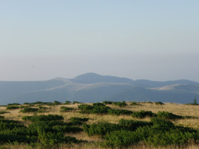 IMGP3181.JPG