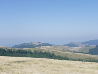 IMGP3235.JPG