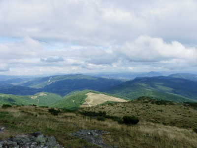 IMGP4271.JPG