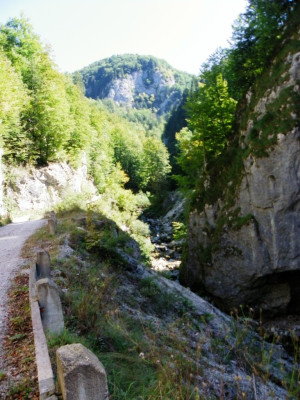 IMGP4347.JPG