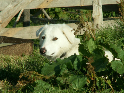 PICT4124.JPG