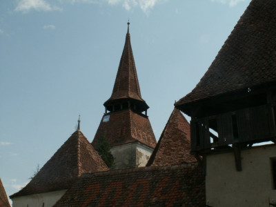 PICT5229.JPG