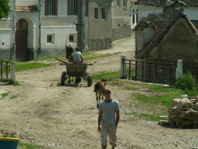 PICT5248.JPG