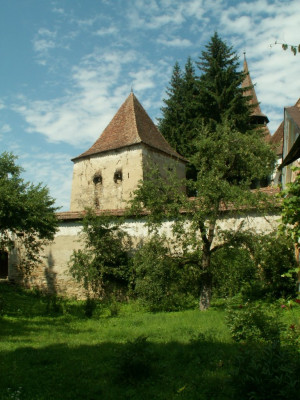 PICT5249.JPG