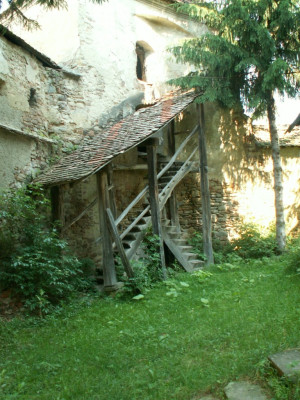 PICT5282.JPG