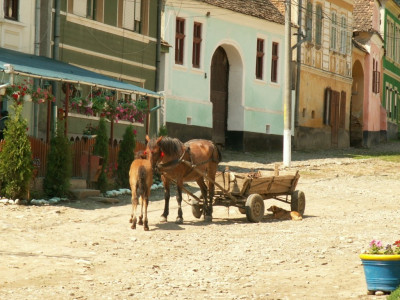 PICT5314.JPG