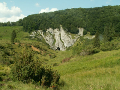 PICT5682.JPG