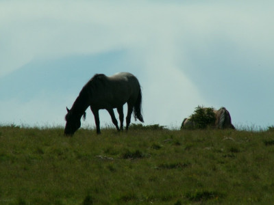 PICT5876.JPG