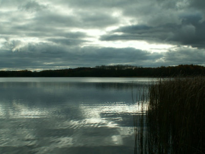 PICT7702.JPG