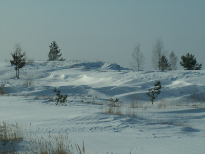 PICT7927.JPG