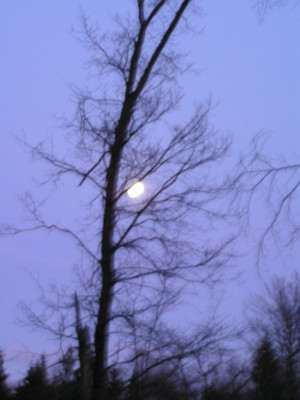 PICT0046.JPG