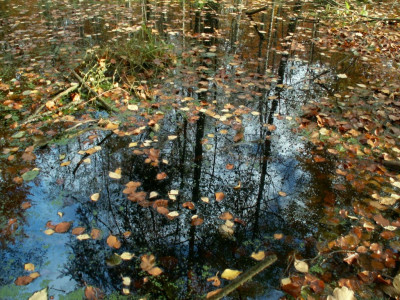 PICT7662.JPG
