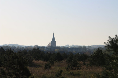 IMG_6463.JPG