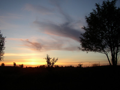 P1010012.JPG